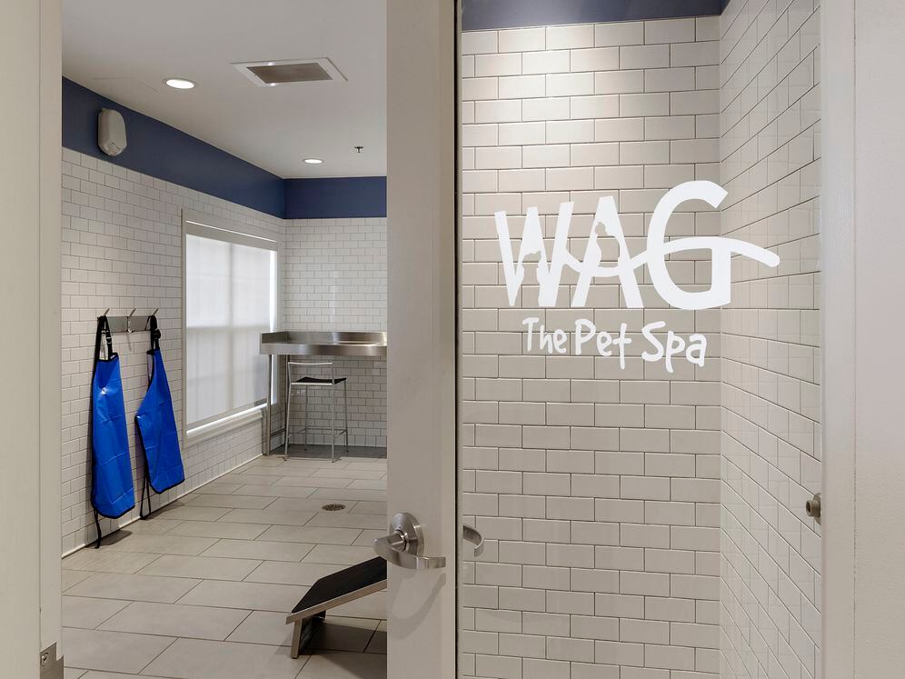 WAG pet spa with bathing area and grooming equipment