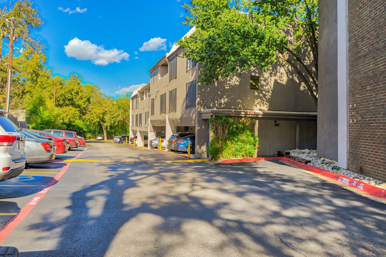 San Mateo Forest Image 3