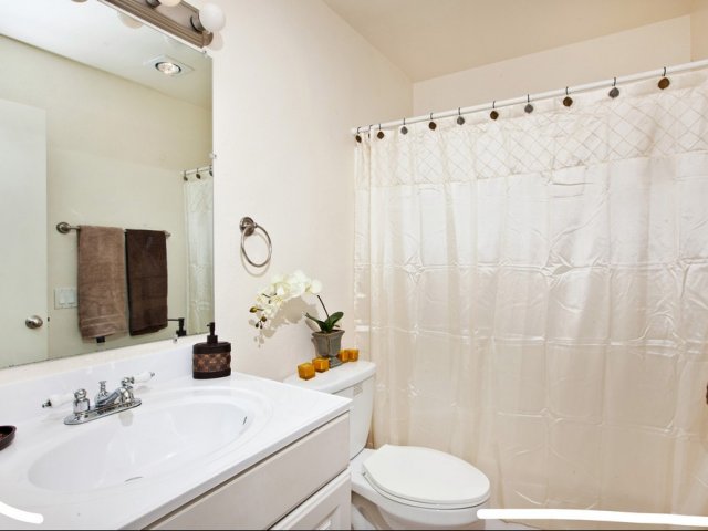 Elan Casa Mar Image 11