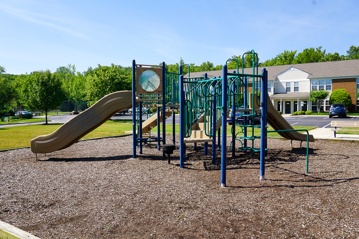Chesterfield Gardens Image 10