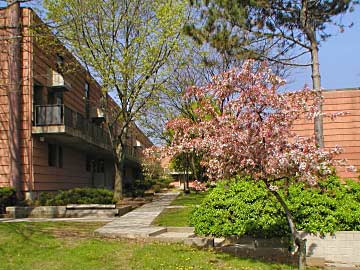 Apartments at 65 Dwight Street Image 2