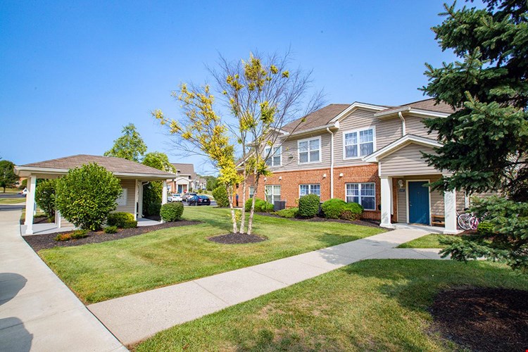 Our community is filled with lush landscaping.