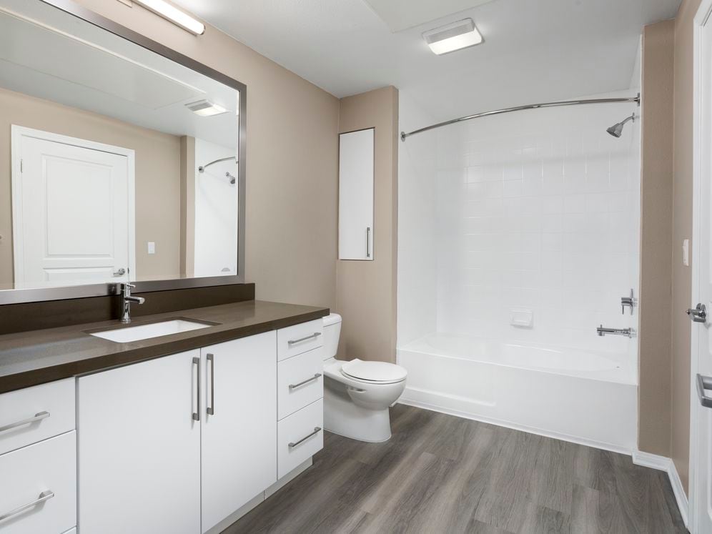 Newly renovated Design Scheme I bath with quartz countertop, new cabinets, and hard surface plank flooring