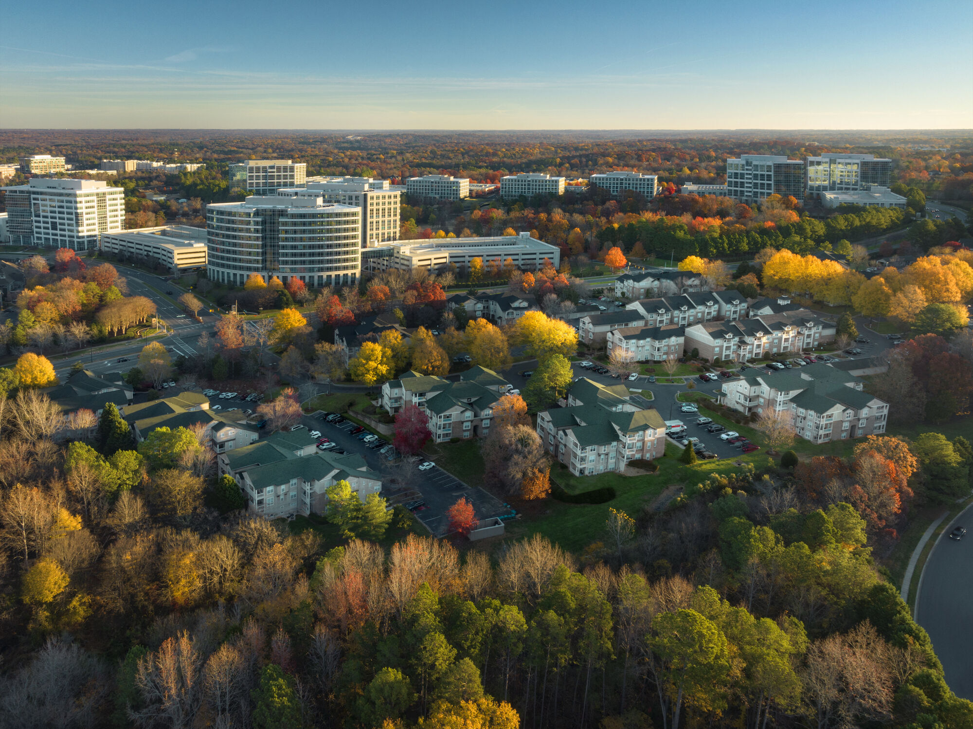 Camden Ballantyne Image 46