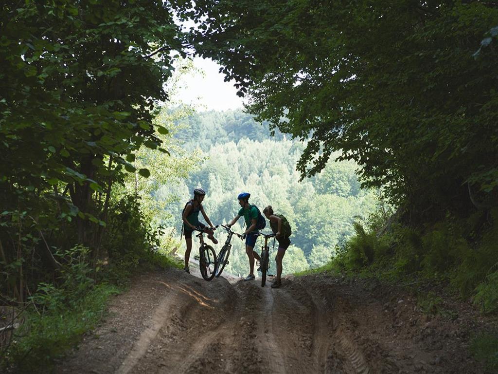 The Danforth Apartments Image 22