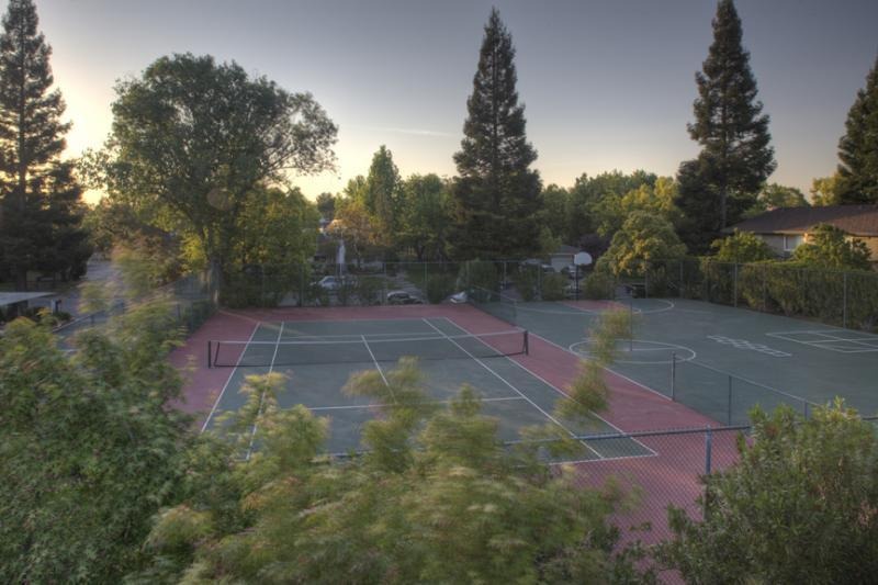 Summer Hills Image 4