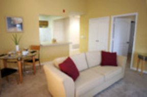 Liiving Room 2