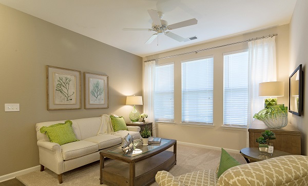 The Apartments at Brayden Image 12