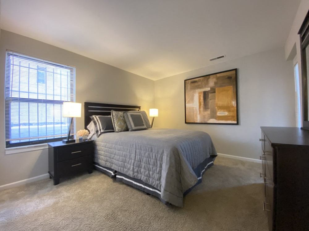 Bedroom with plush carpeting