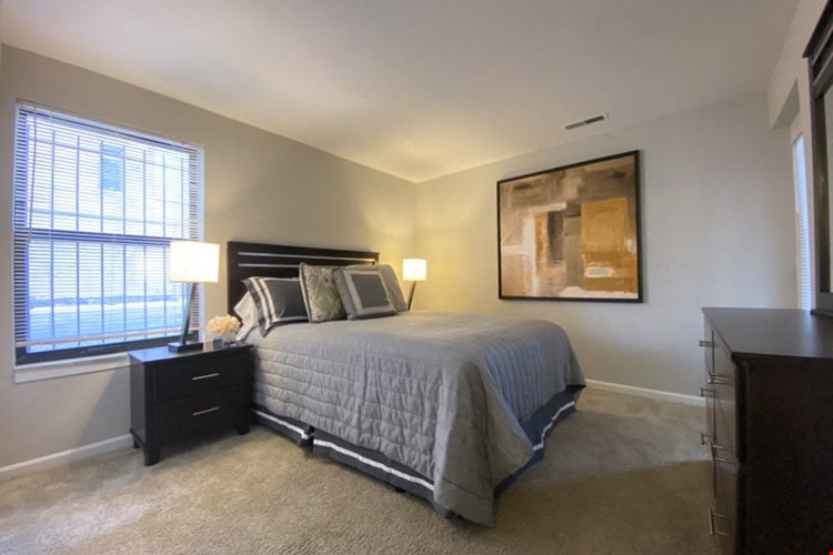 Bedroom with plush carpeting