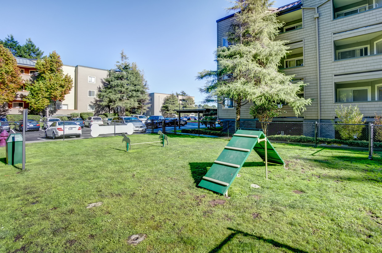 Serramonte Ridge Apartments Image 17