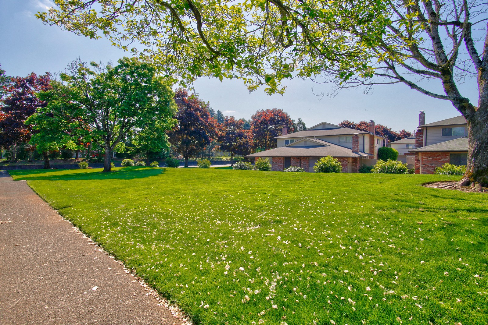 Campbell Park Image 19