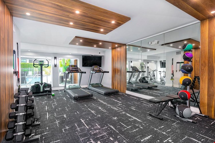 Our state-of-the-art fitness center is stocked with all the equipment you need for a full body workout!