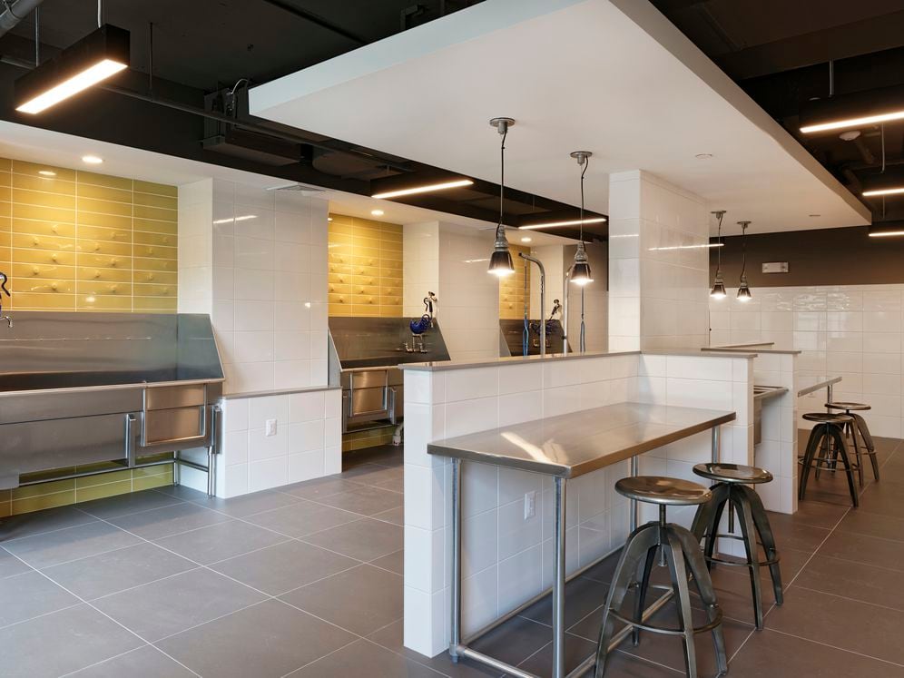 Hunt Valley - WAG pet spa with bathing area and grooming equipment