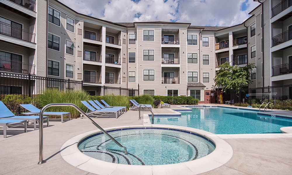 Cosmo at Lorton Image 3