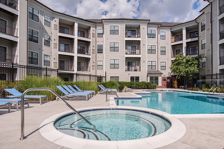 Cosmo at Lorton Image 3