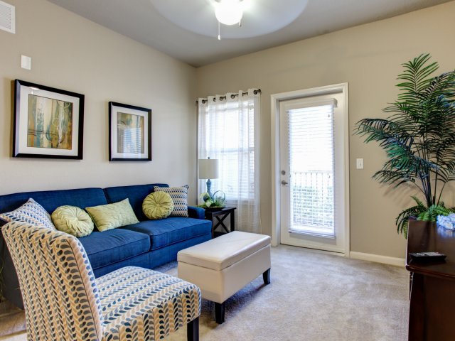 Functional Living Room