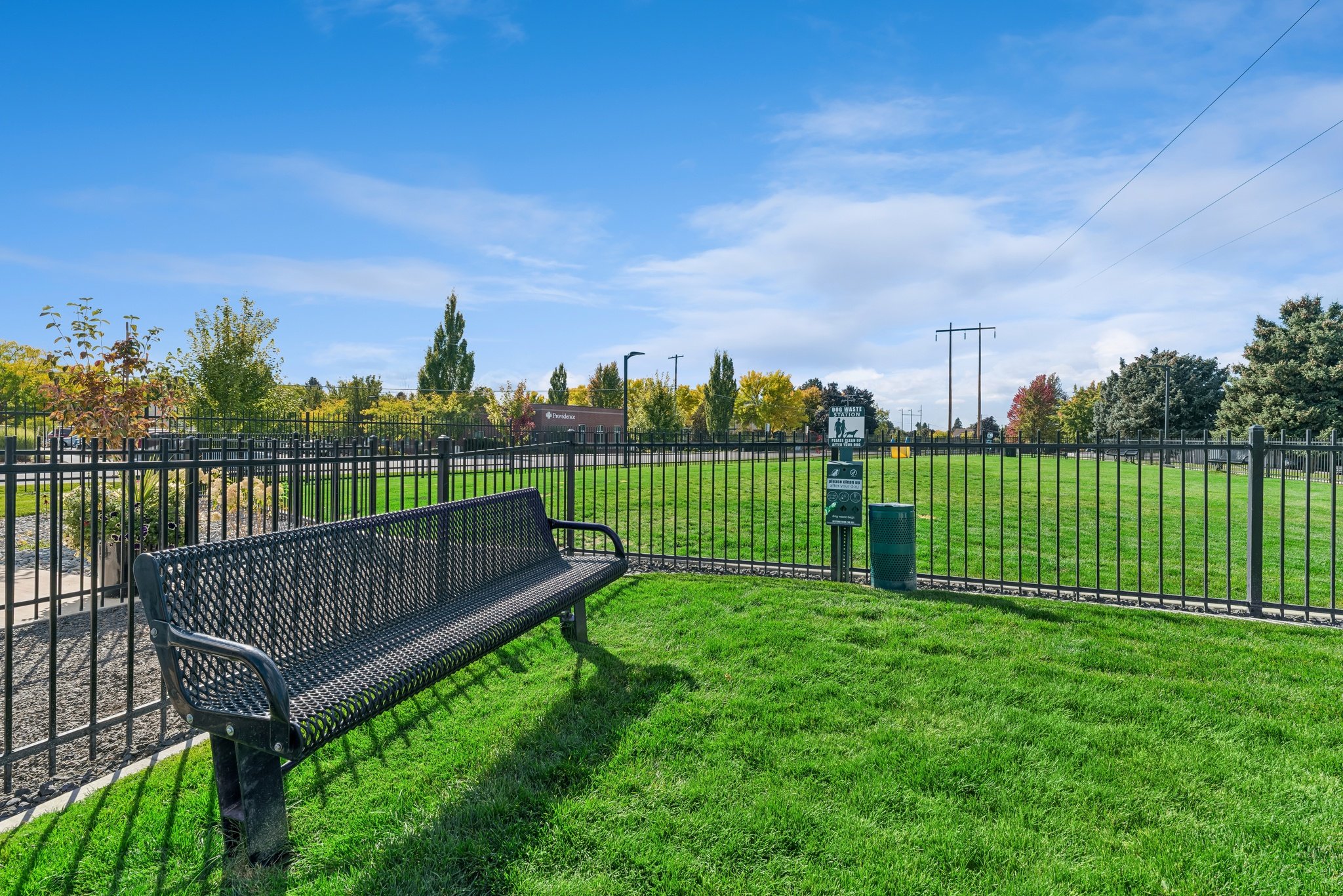 Dog Park