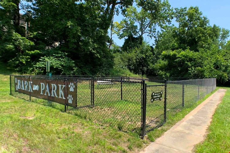 Timber Ridge Apartments Image 16