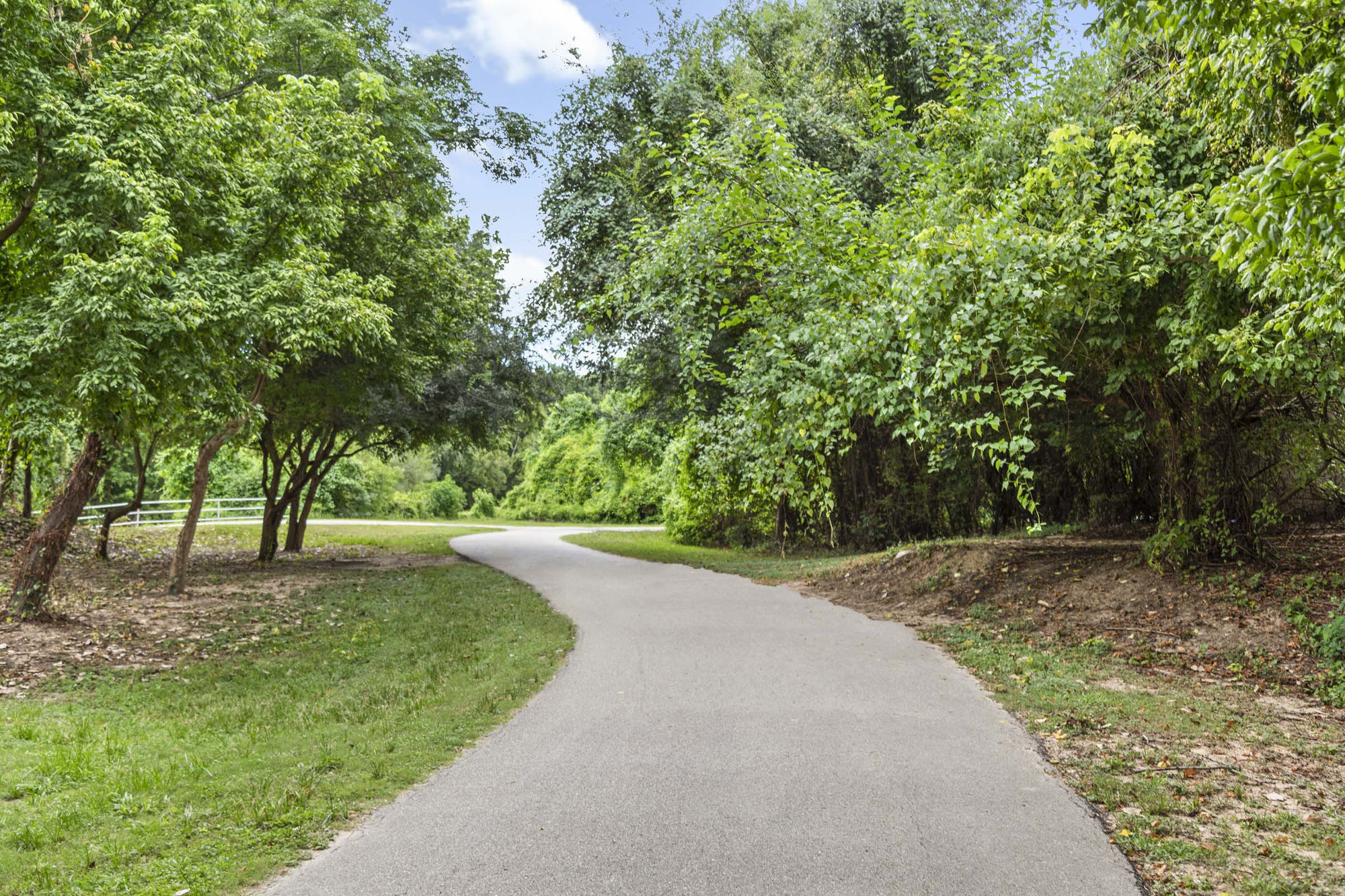 Camden Holly Springs Image 38
