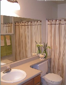 The Fountains Image 8