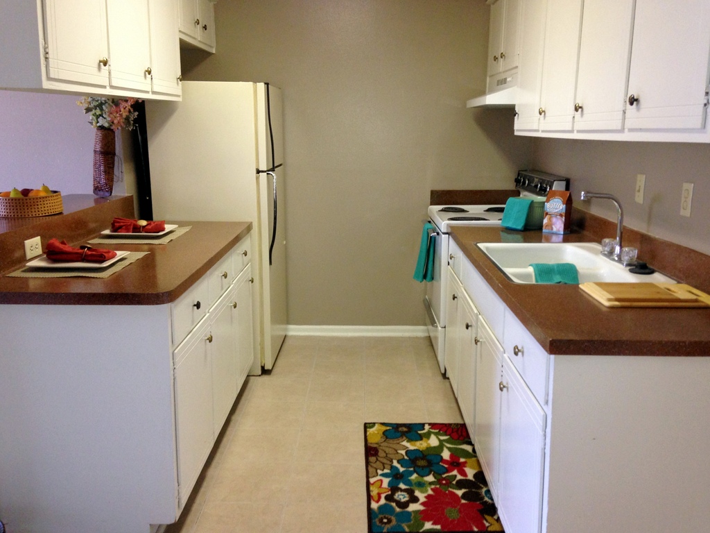 Kitchen and Dishwasher and Refrigerator
