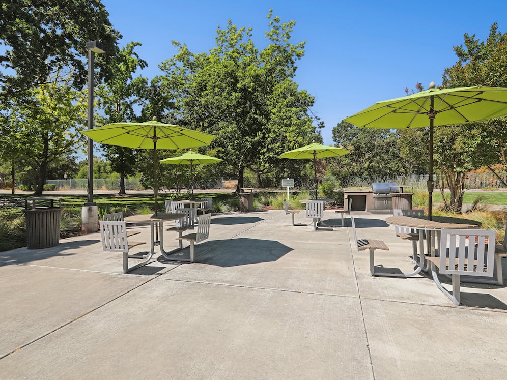 Barbecue grills and picnic area