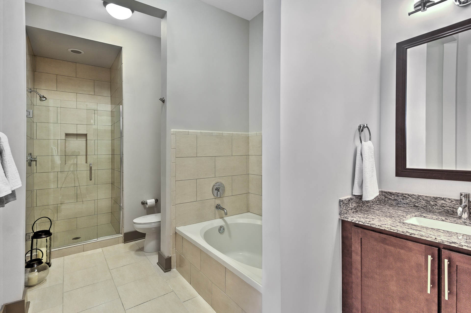 The Collection Image 12