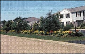 Waterside Townhomes Image 9