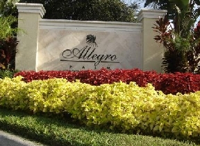 Allegro Palm Image 1