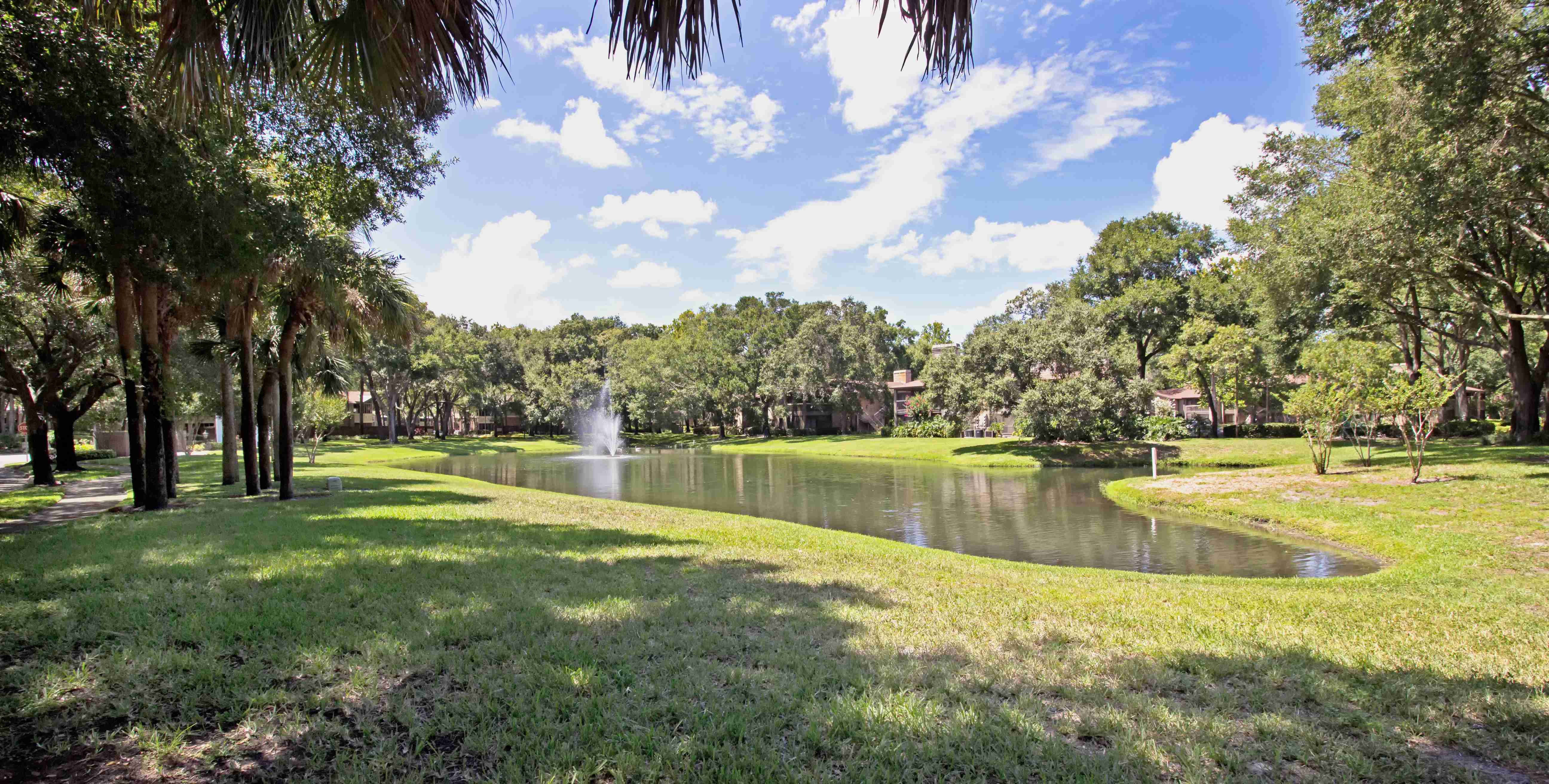 Sabal Club Image 18