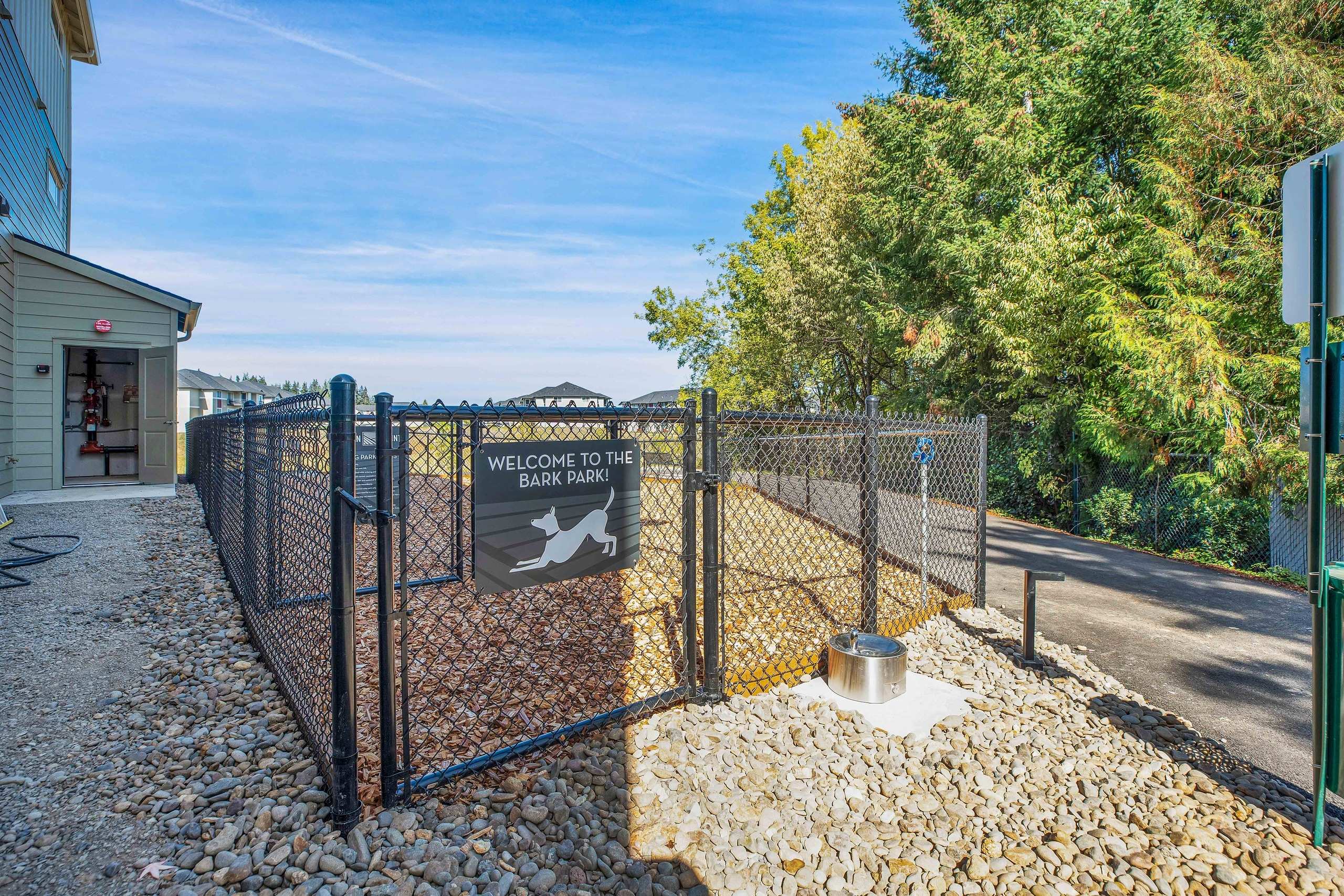 Pet Run for Your Furry Friends
