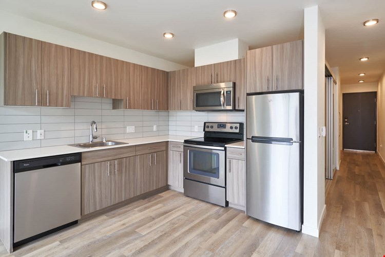 Springline  Image 58