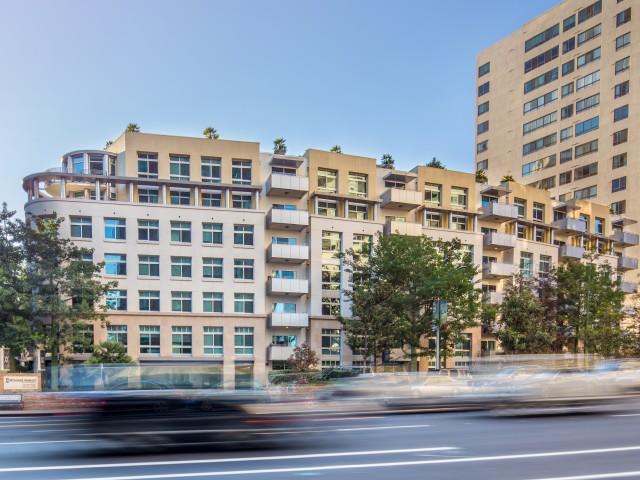 Wilshire Margot Image 1