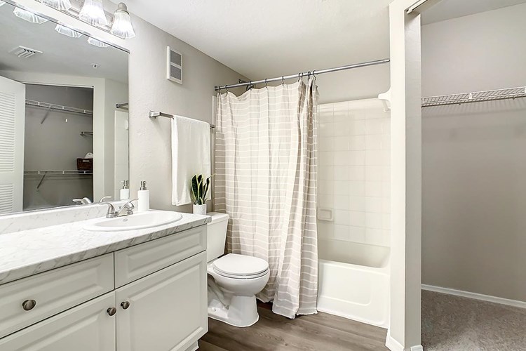 Over-sized master bathroom with a walk-in closet and a linen closet inside.