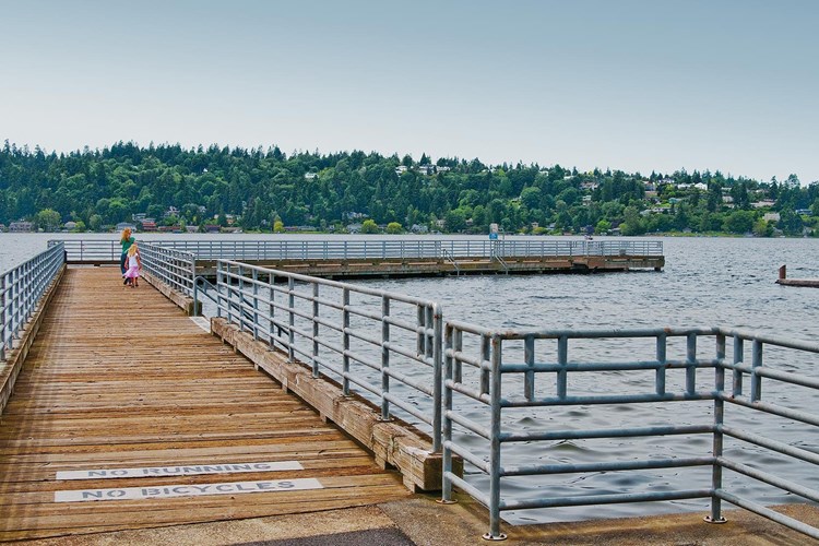 Dock and beach on Lake Washington