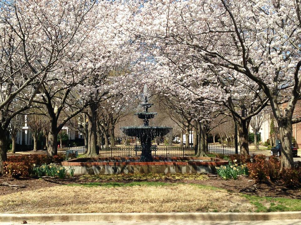 South Bluffs Apartments Image 13