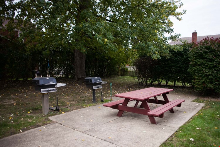 Picnic Area