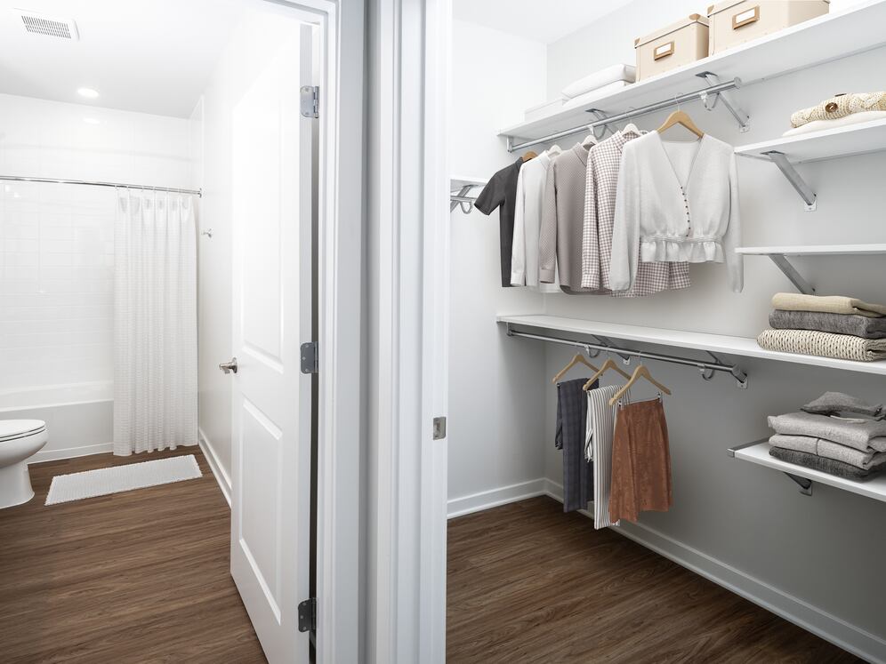 Bath and walk-in closet with hard surface flooring