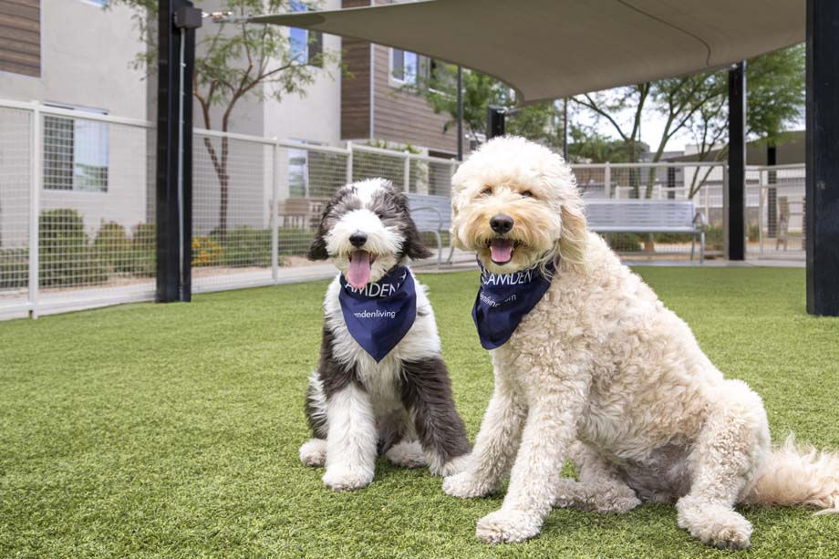 Camden North End Image 48