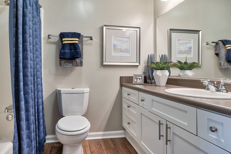 The Park at Riverview Apartments Image 10