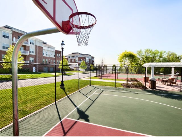 If basketball is your sport of choice, you're in luck.