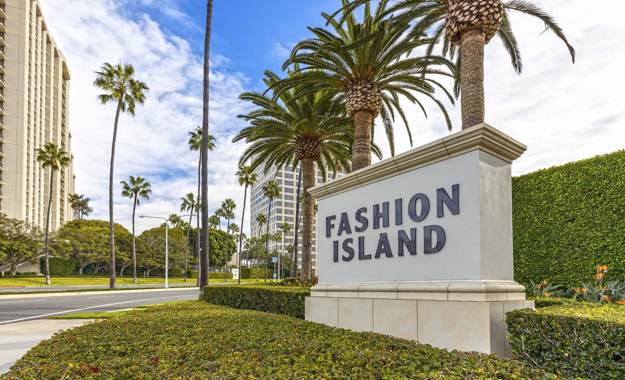 Camden Main And Jamboree Image 57