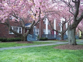 Lawrenceville Gardens Image 23