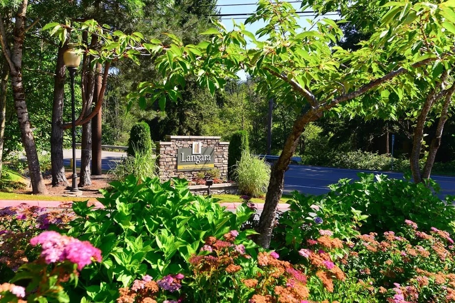 Langara Image 15