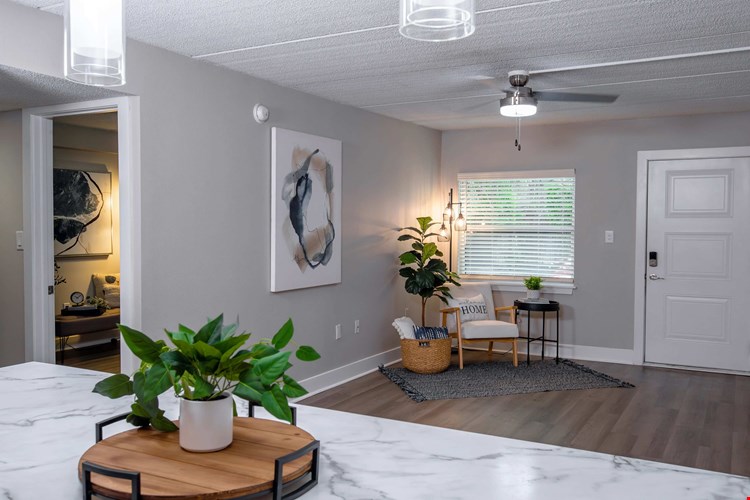 Welcome to your cozy and stylish living room at Elon Winter Park Apartments, offering a cozy atmosphere with modern finishes, stylish lighting, and plenty of natural light. A perfect space for relaxation and everyday comfort.
