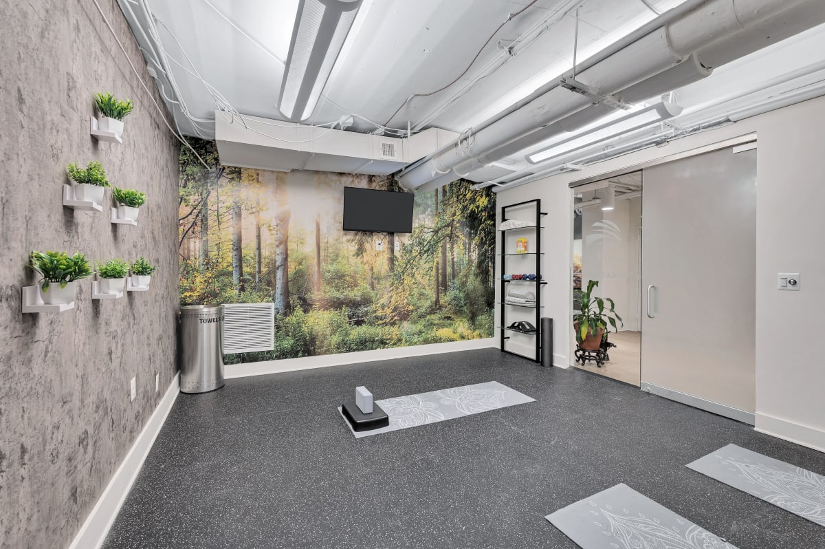 The Horizons Image 4