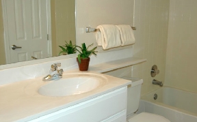 Somerset Oaks Apartments and Townhomes Image 8