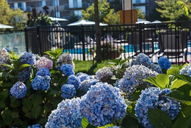 Sherri Park Apartments Image 12