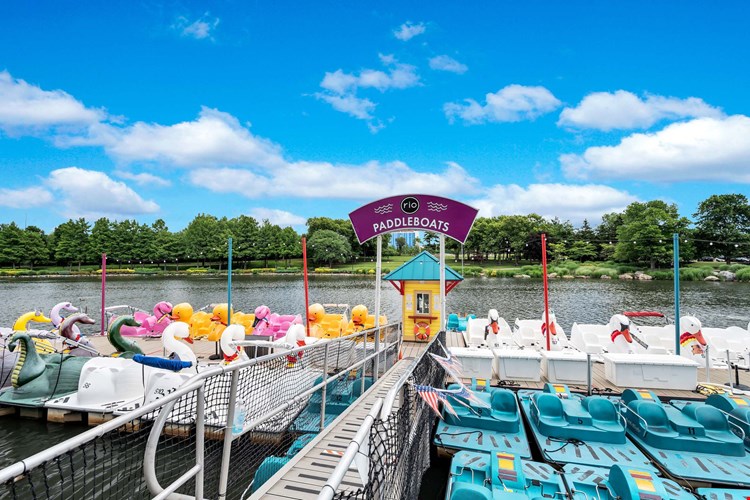 Camden Shady Grove Image 60